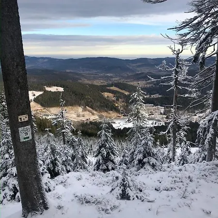 W Stroniu * Stronie Śląskie