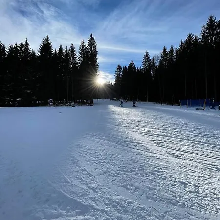 W Stroniu * Stronie Śląskie