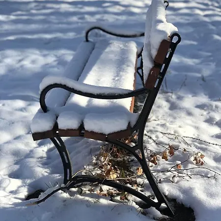 W Stroniu Stronie Śląskie