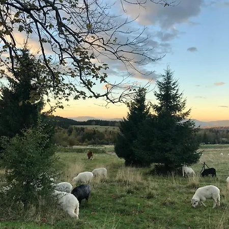 דירה W Stroniu Stronie Śląskie