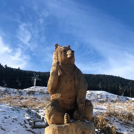 W Stroniu דירה Stronie Śląskie