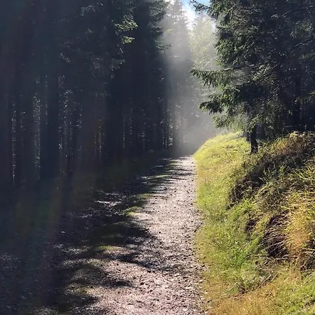 דירה W Stroniu Stronie Śląskie