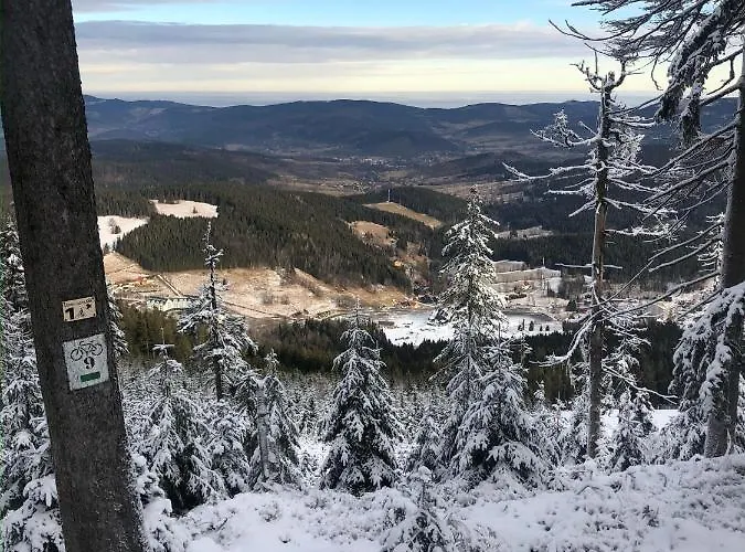 W Stroniu * Stronie Śląskie