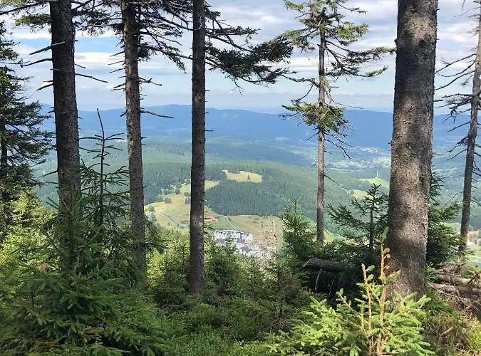 W Stroniu * Stronie Śląskie