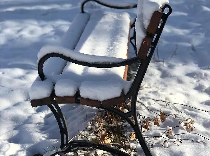 W Stroniu Stronie Śląskie