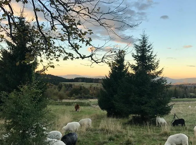 شقة W Stroniu Stronie Śląskie