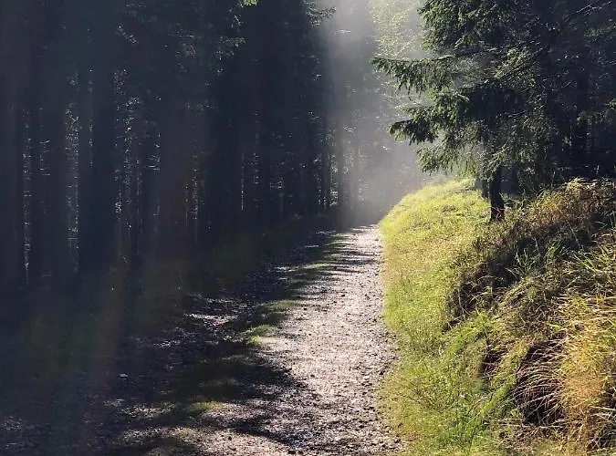 Lägenhet W Stroniu Stronie Śląskie